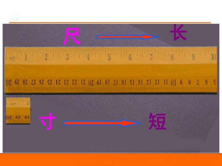 尺有所短寸有所长四年级语文语文小学教育教育专区_1ppt培训课件_第1页