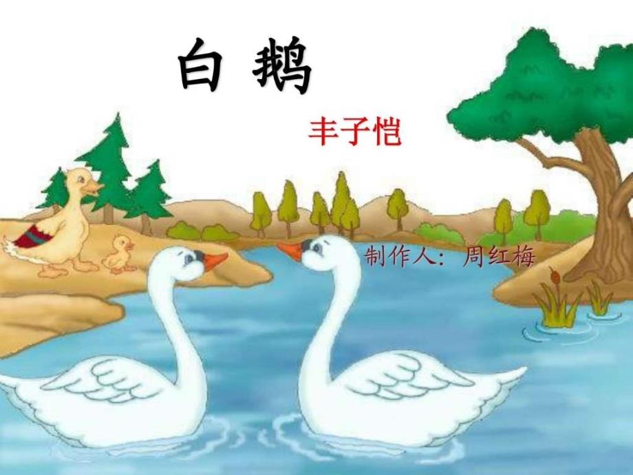 丰子恺《白鹅》课件_第1页