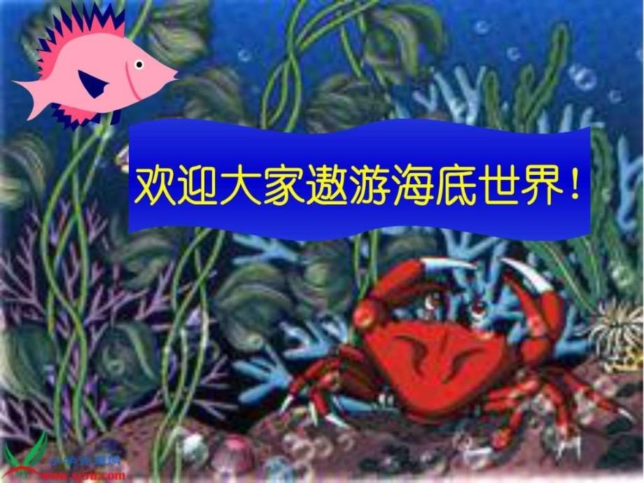 美术海底世界课件_第4页