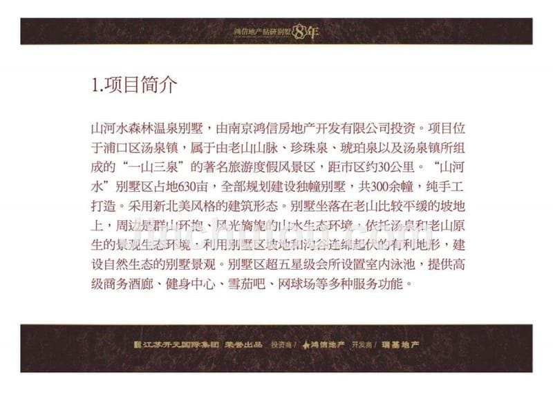 南京山河水广告整合推广工作总结课件_第5页