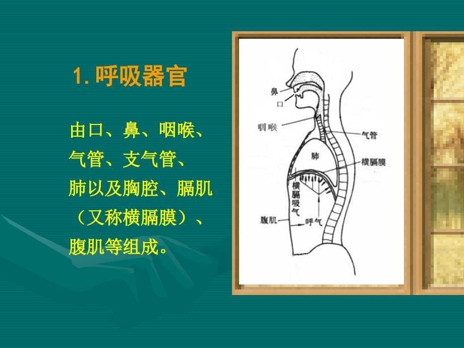 口语能力阐释_第5页