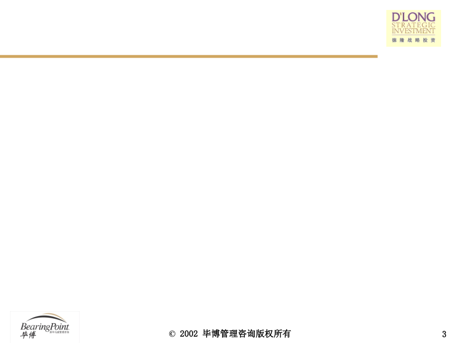 2002德隆战略投资erp与财务管理信息系统-毕博建议书_第3页