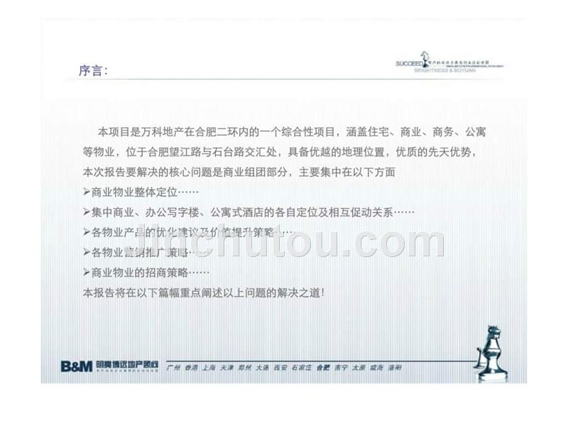 明亮博远2011年合肥万科金色名郡5期商业项目策划报告课件_第2页