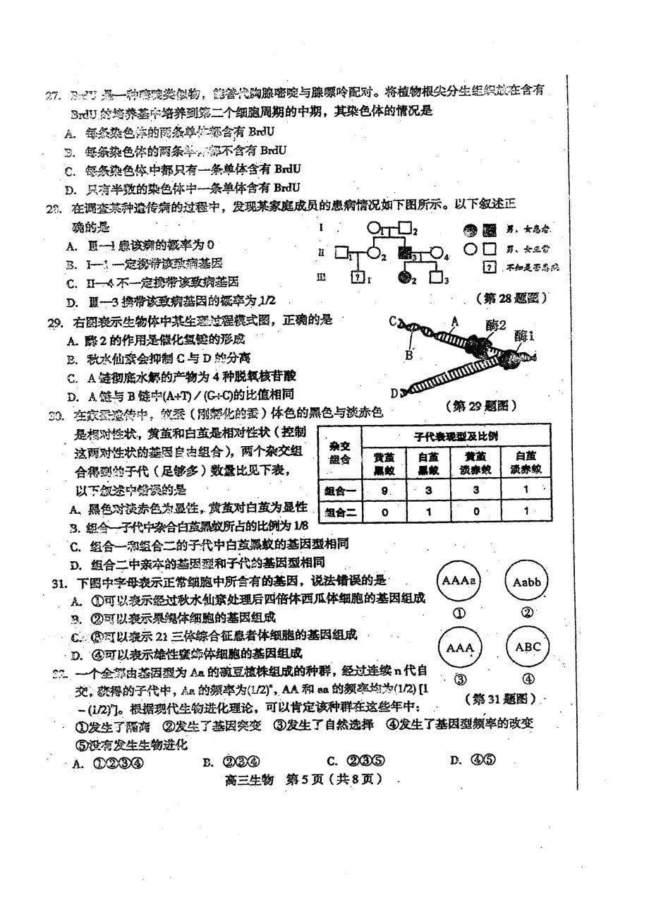 2012年1月福建省龙岩市高三质量检查龙岩生物卷_第5页