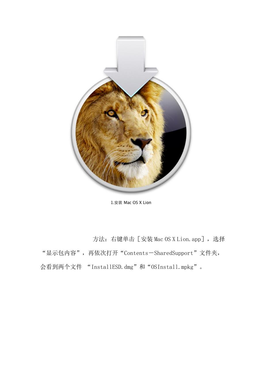 教你一步一步自制[macosxlion安装u盘]从此为安装不再烦恼_第3页