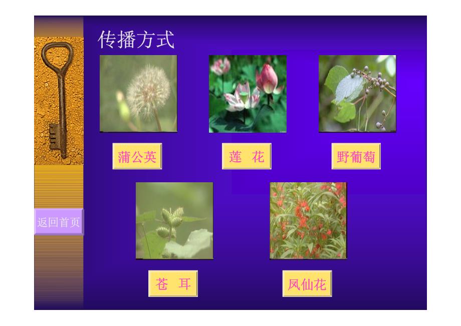 大班科学活动燕郊ppt_第3页