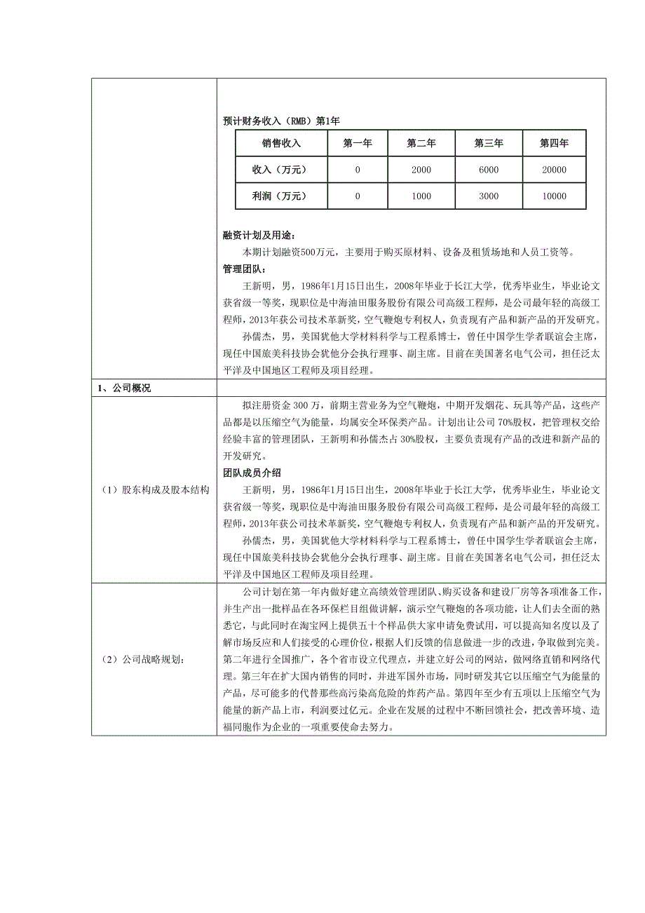 安全环保的空气鞭炮创业计划书_第4页