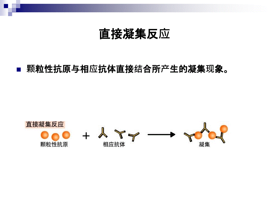 凝集反应(肥达反应、血型鉴定)_第4页