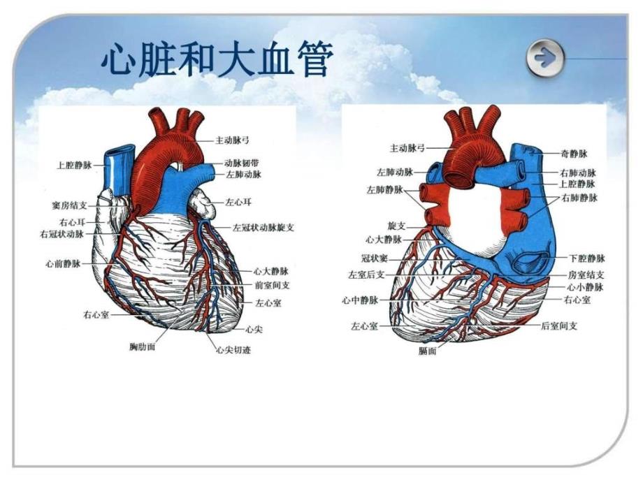 高血压课件_第4页