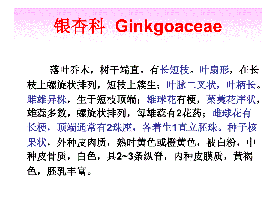 常见园林植物-针叶树种所属类群的主要形态特征2-银杏科_第2页