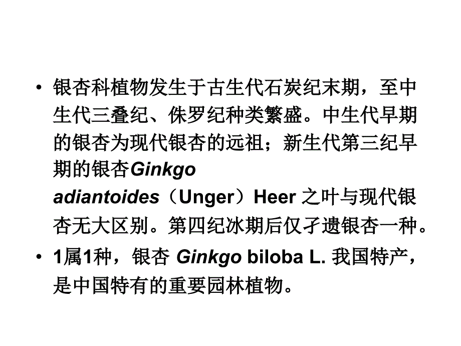 常见园林植物-针叶树种所属类群的主要形态特征2-银杏科_第3页