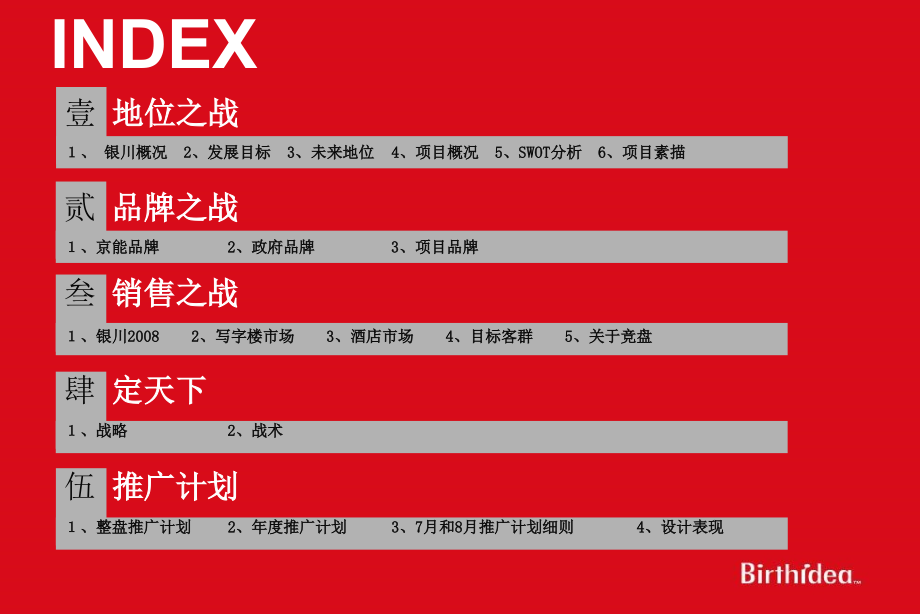 京能银川项目战略_第3页