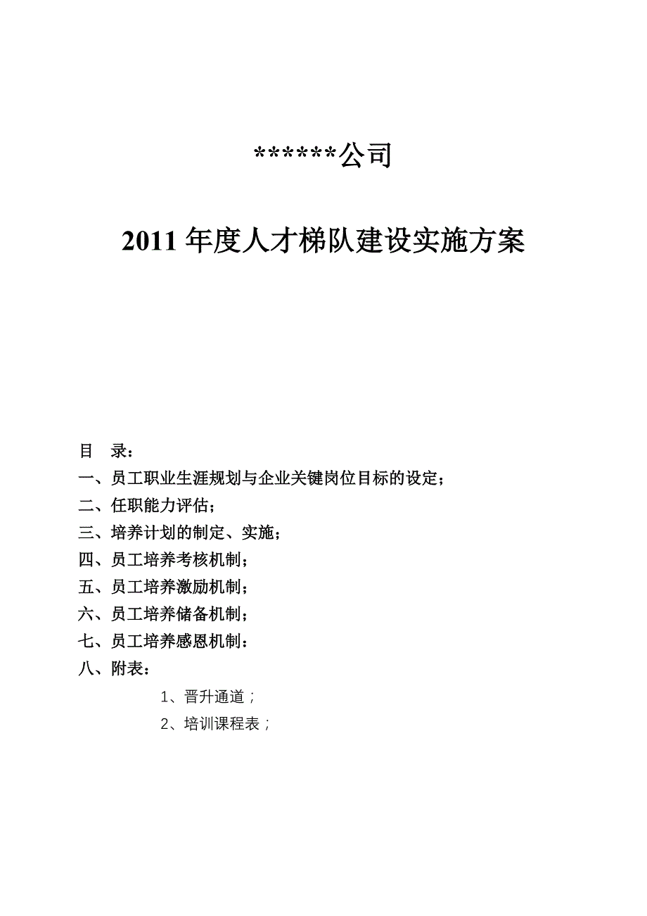 某集团公司队建设实施方案_第1页