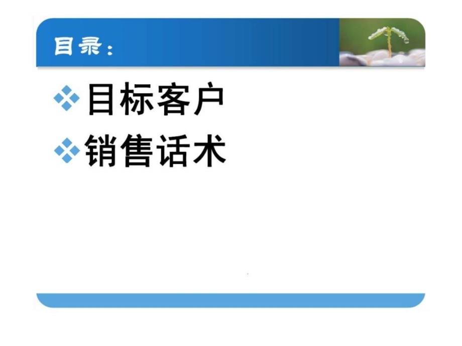 中国人寿福禄满堂保险目标市场及话术ppt课件_第2页