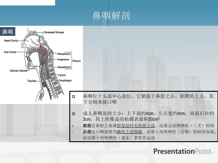 鼻咽癌的mri影像学诊断_第5页