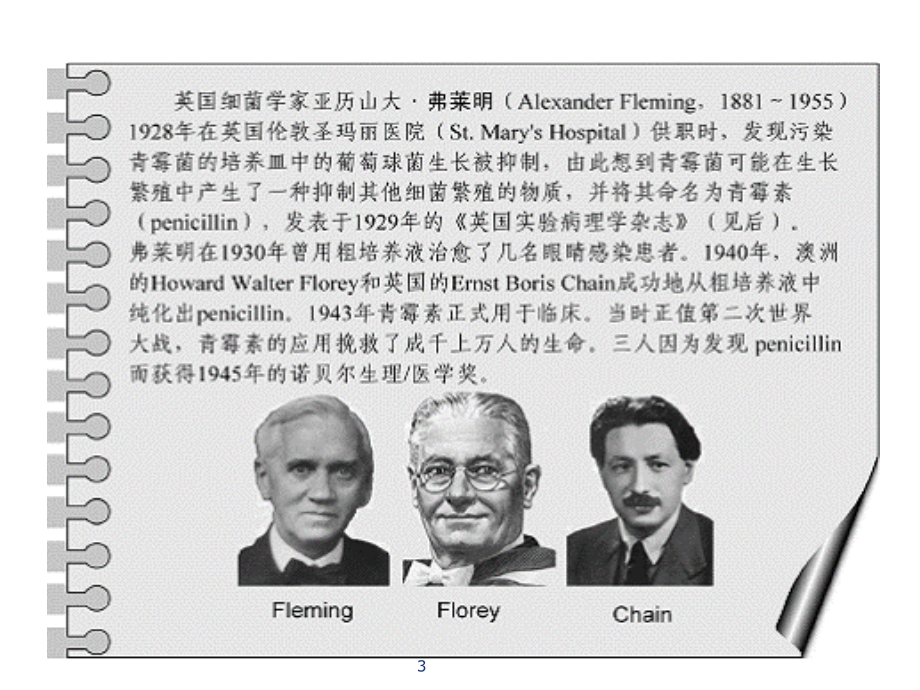 儿童急性呼吸道感染抗生素的使用ppt课件_第3页