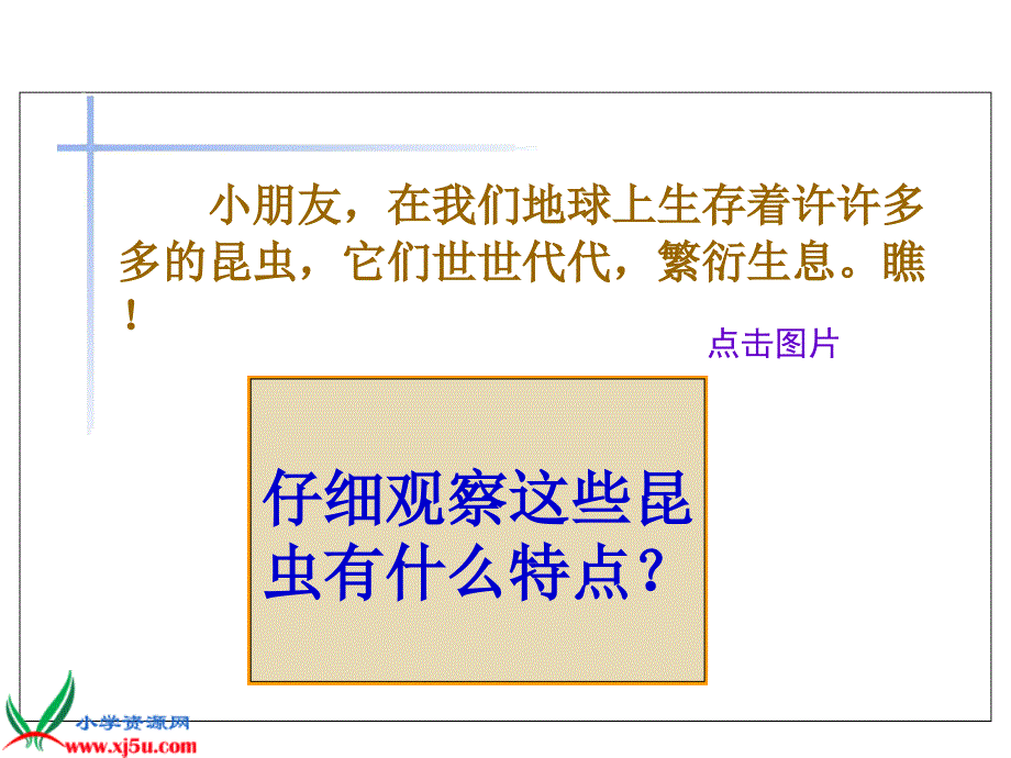 苏教版二年级语文上册课件有趣的发现1_第1页