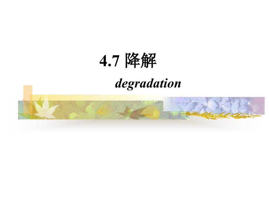 高化反应之降解_第1页