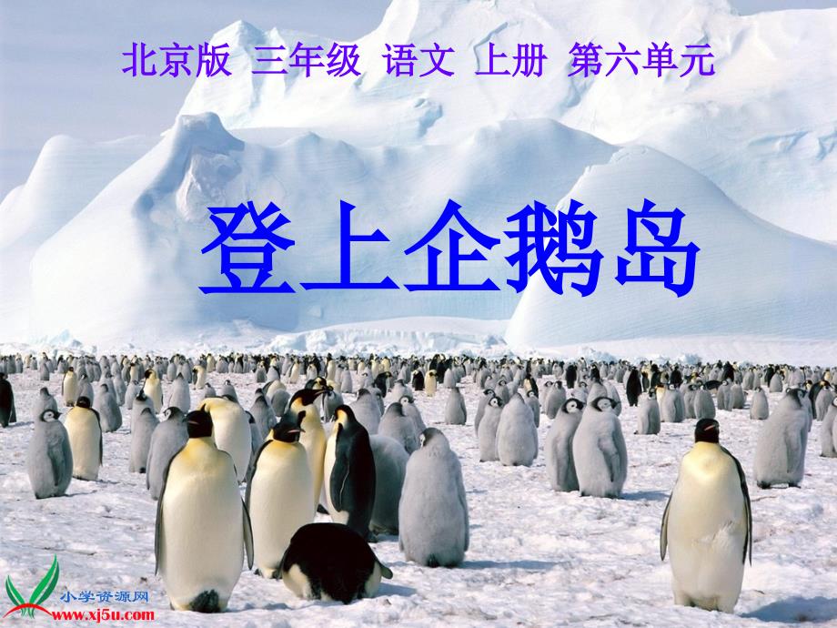 北京版三年级语文上册：课件登上企鹅岛3_第1页