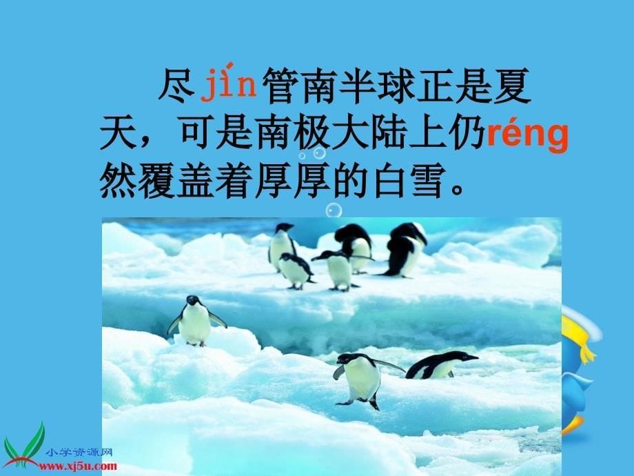 北京版三年级语文上册：课件登上企鹅岛3_第5页