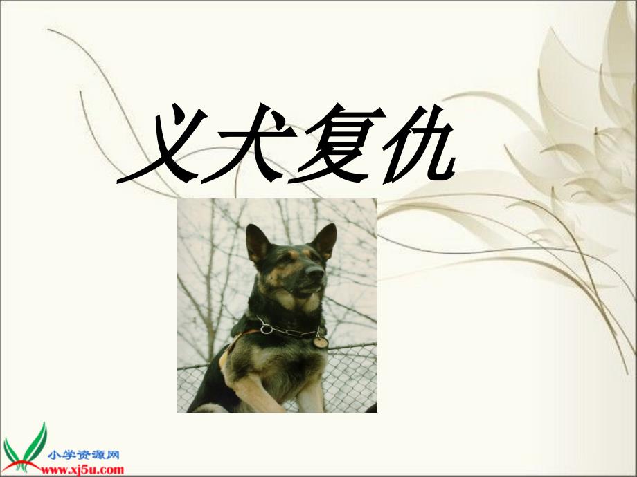 北京版五年级语文下册课件义犬复仇4_第1页