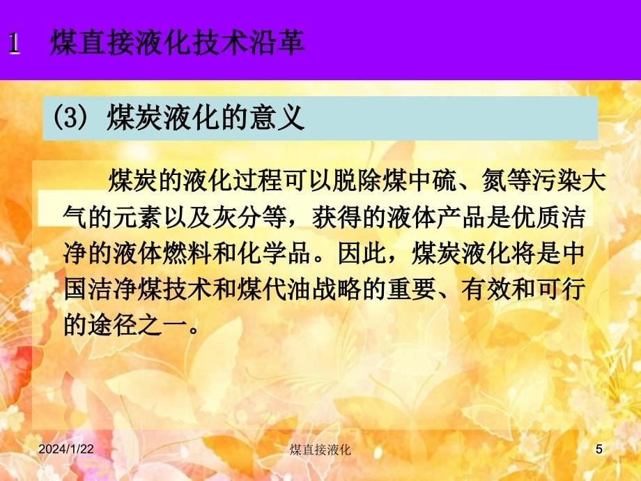 煤直接液化技术-----_第5页