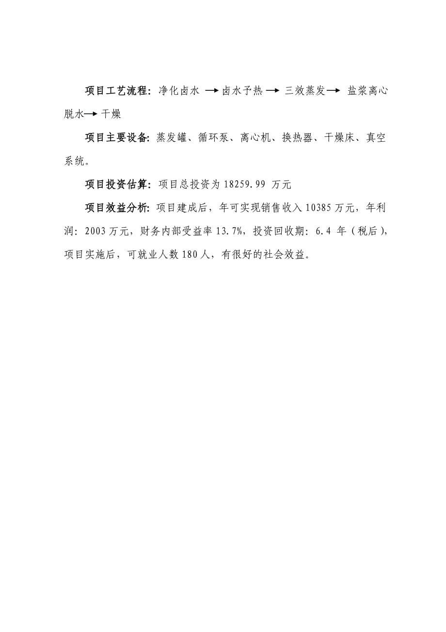 盐硝产业链构想示意图及项目简介_第5页