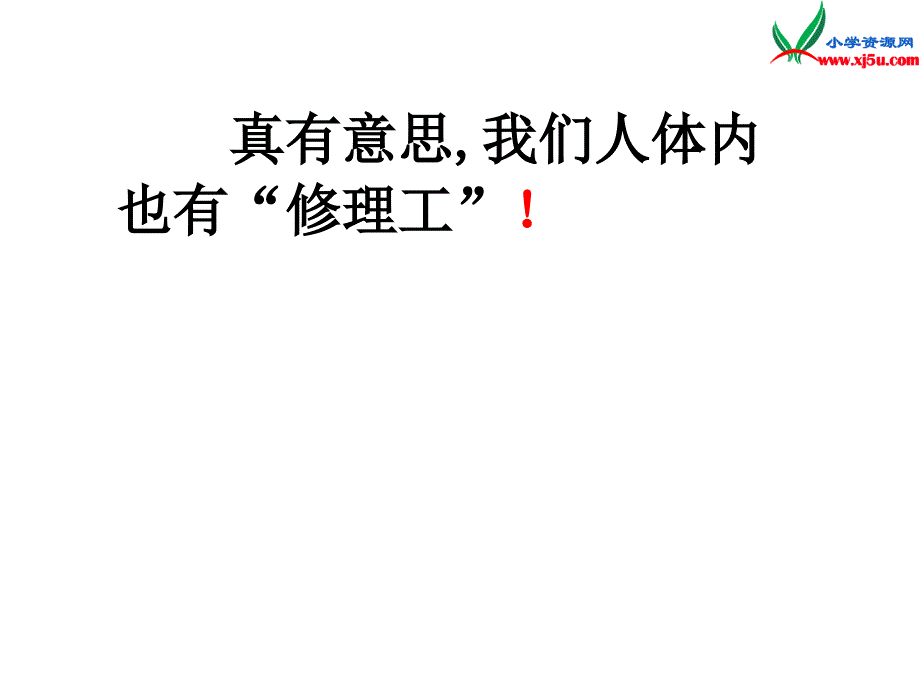 2015年秋二年级语文上册：《人体内的修理工》课件2沪教版_第2页