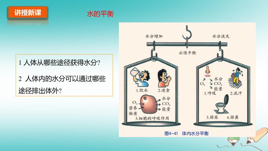 2018九年级科学上册第4章代谢与平衡4.5体内物质的动态平衡第2课时水盐平衡与代谢的多样性教学课件（新版）浙教版_第3页