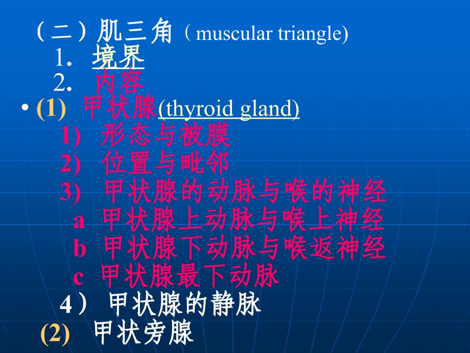 颈部局部解剖2_第2页