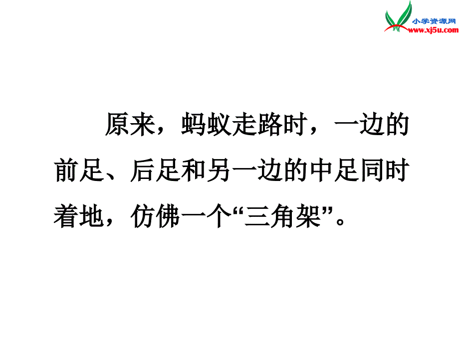 2015年秋三年级语文上册：《走路的奥秘》课件3沪教版_第4页