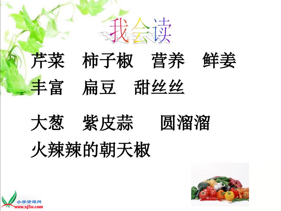 北京版二年级语文上册：课件蔬菜营养丰富1_第2页