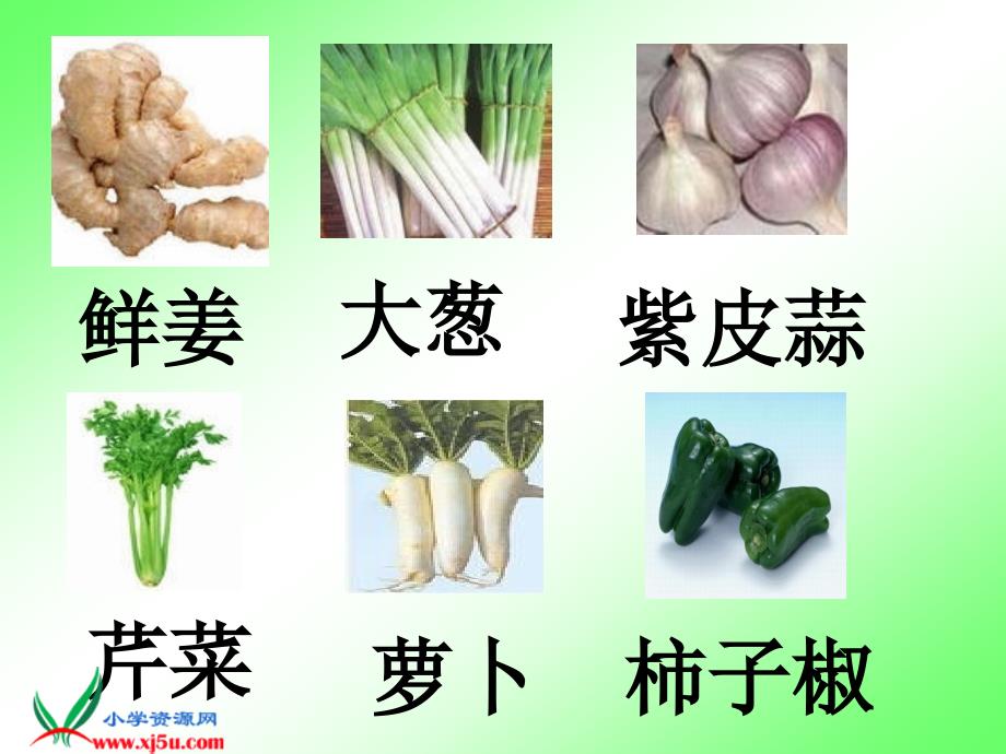 北京版二年级语文上册：课件蔬菜营养丰富1_第3页