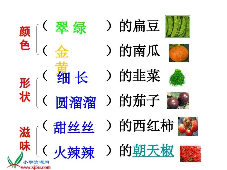 北京版二年级语文上册：课件蔬菜营养丰富1_第5页