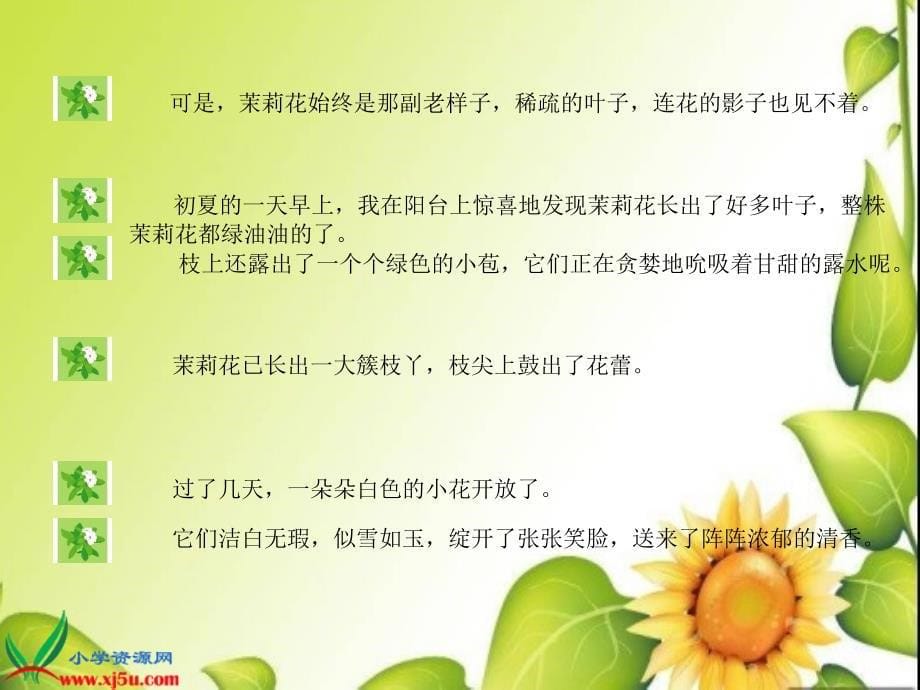 沪教版三年级语文上册课件茉莉花3_第5页