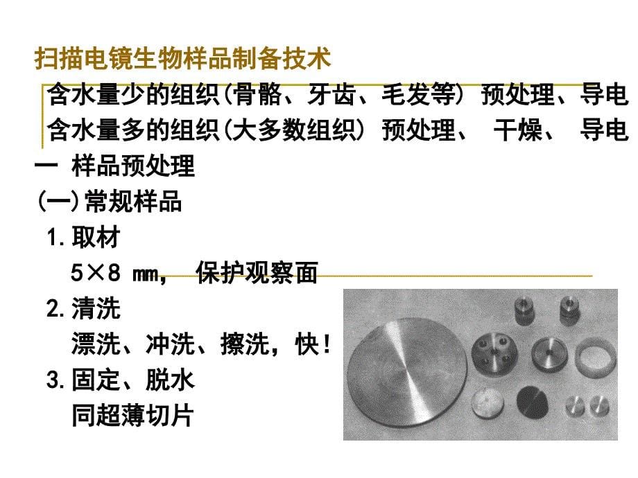 负染技术、扫描电镜样品制备技术_第5页