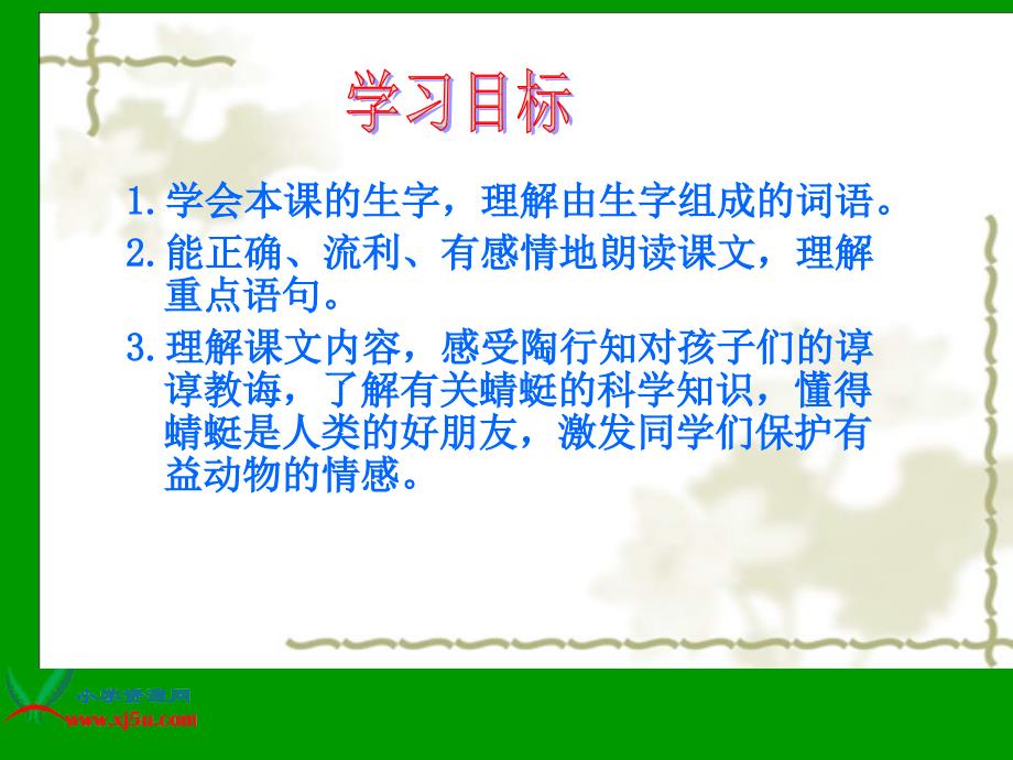 苏教版三年级语文下册课件放飞蜻蜓2_第3页