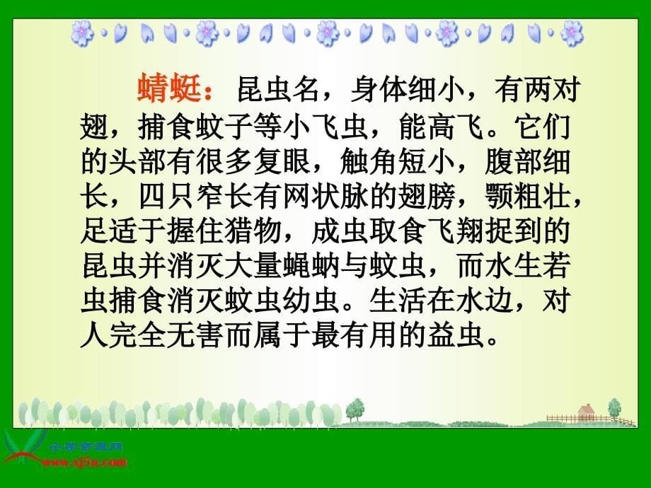 苏教版三年级语文下册课件放飞蜻蜓2_第5页