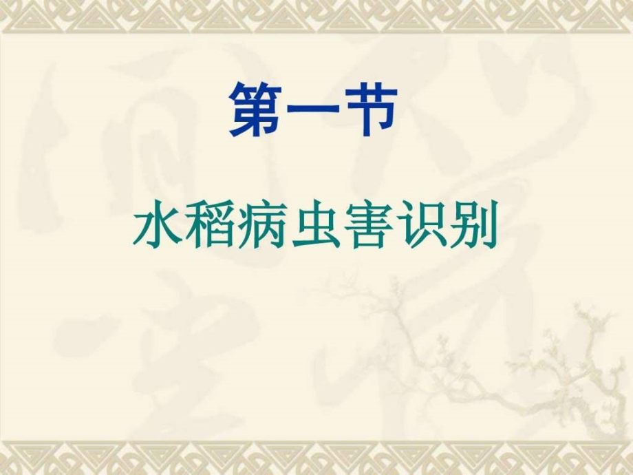 中方劳动局水稻主要病虫害防治技术ppt课件_第4页