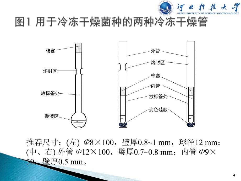 菌种保藏冷冻干燥管的制备(第二次修改)_第4页