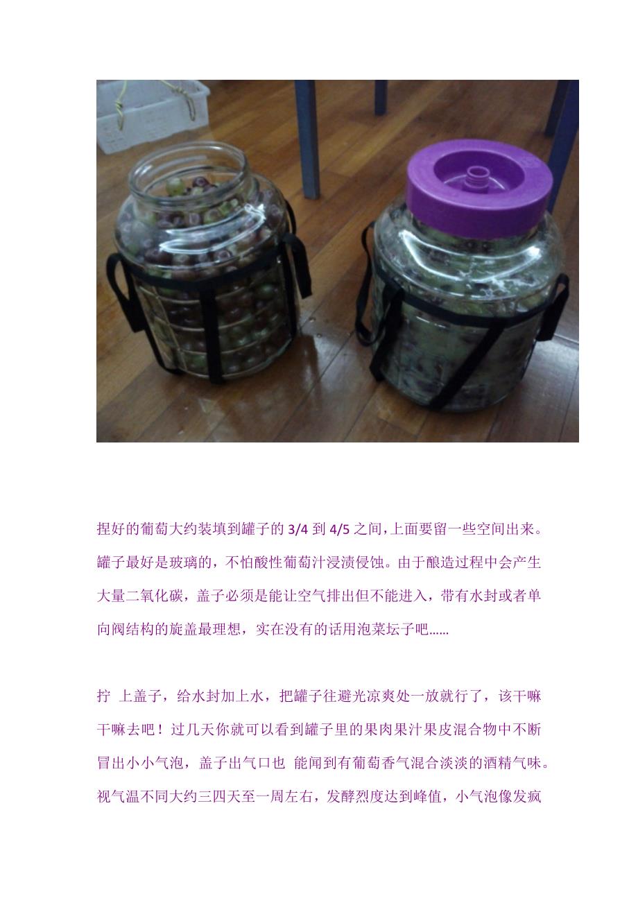 自酿葡萄酒初级攻略_第3页