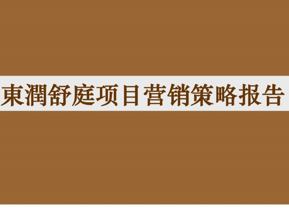 同策2012年01月09日上海东润舒庭项目营销策略报告ppt课件_第1页