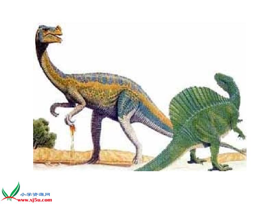 北京版三年级语文上册：课件遥远的恐龙世界2_第4页