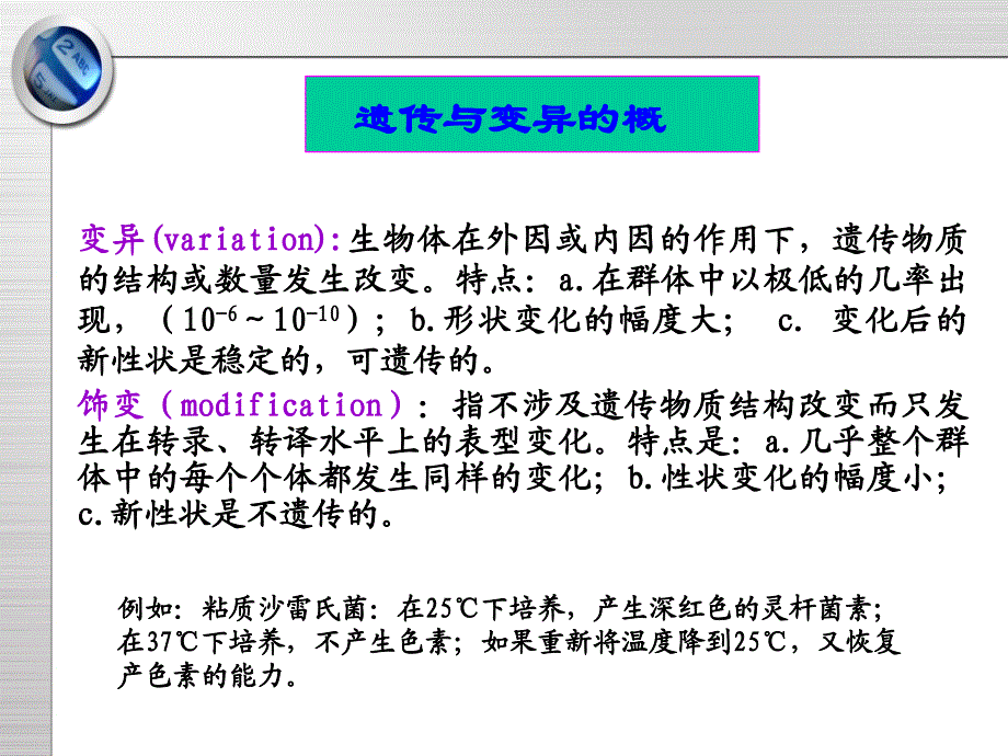 遗传与变异1.2节_第4页