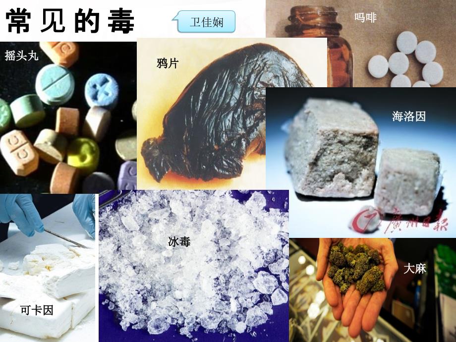 珍爱生命_远离毒_第2页