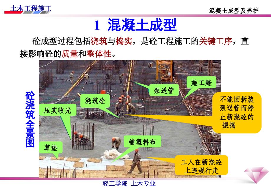 混凝土的成型及养护_第2页