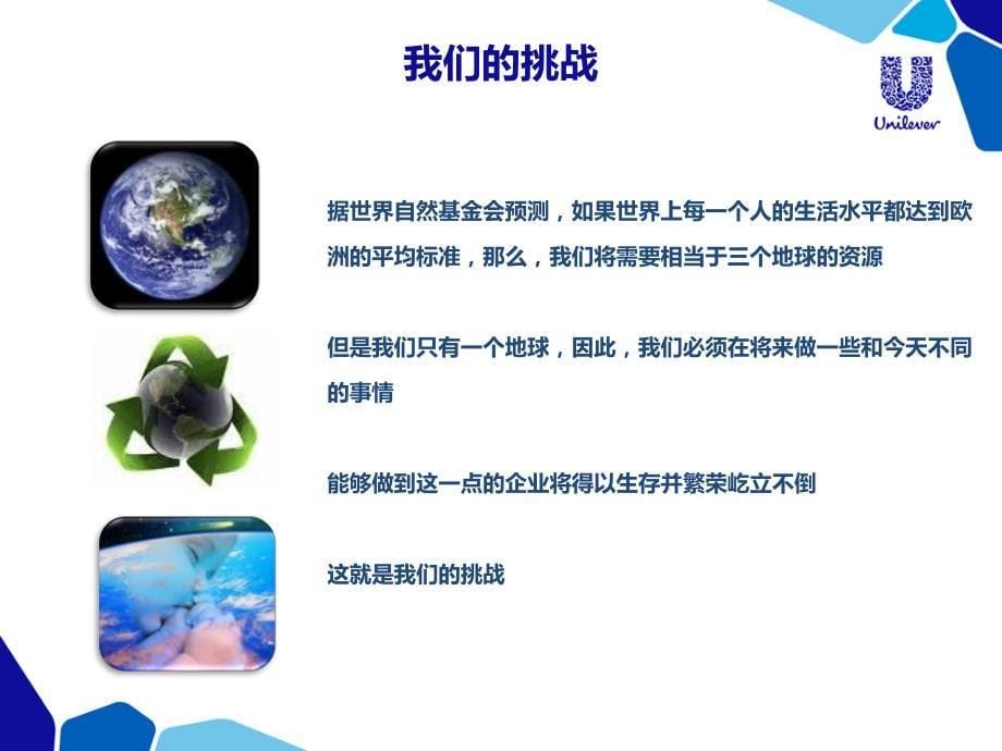 联合利华可持续行动计划介绍_第5页