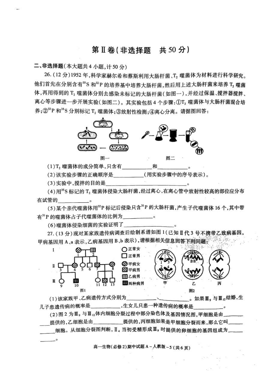 陕西省洛南县永丰中学2017-2018学年高一生物下学期期中教学检测试题_第5页