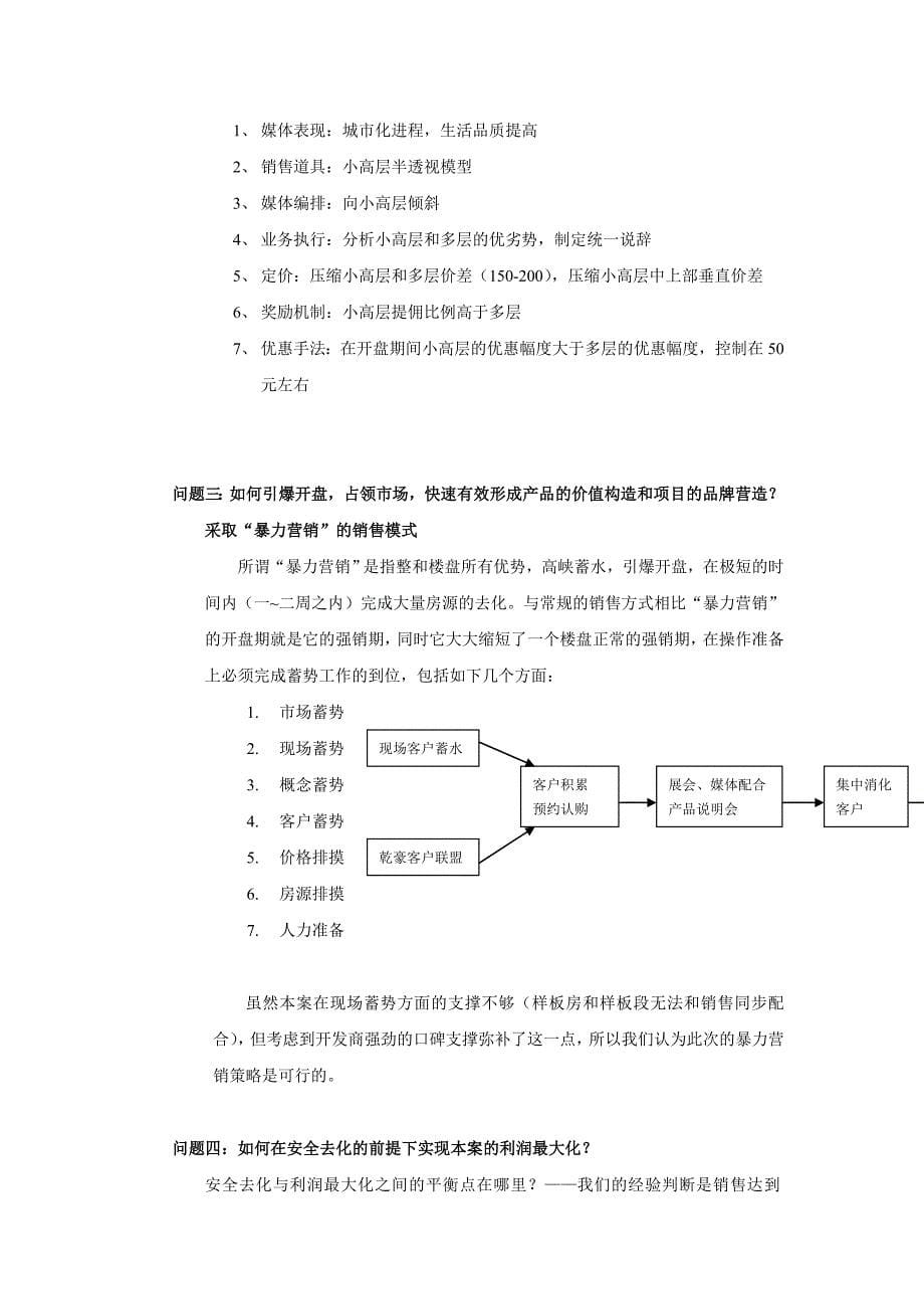 XX销售整合报告_第5页