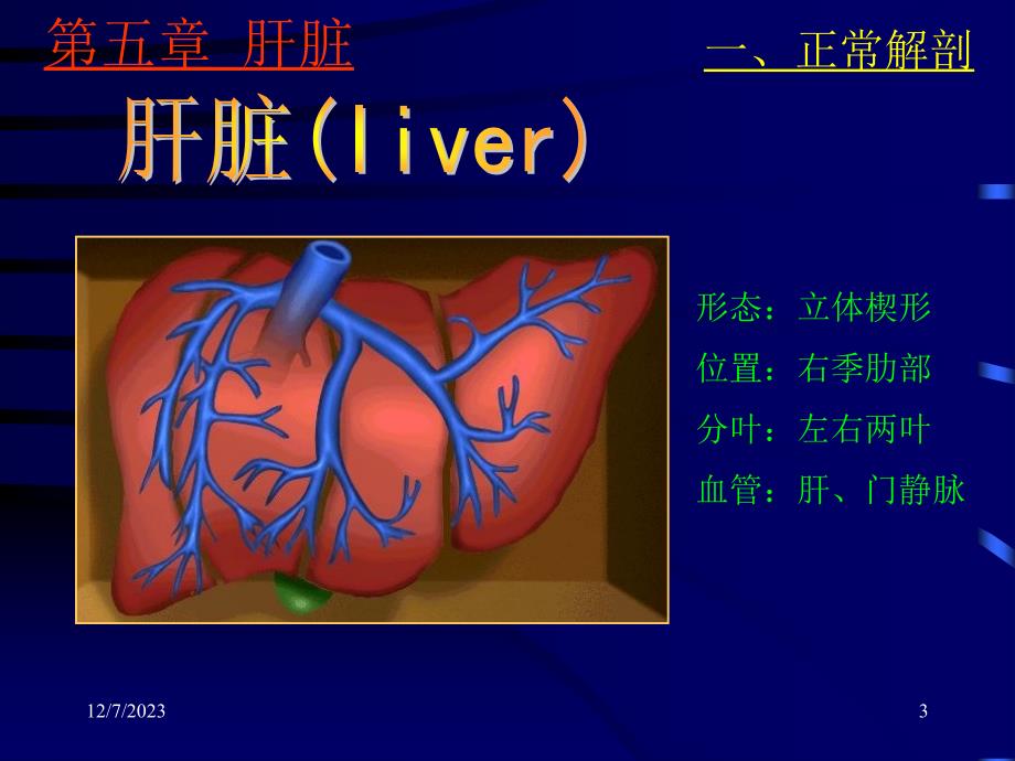 肝脏疾病的诊断一、正常声像图（了解）肝——形态立体楔形位置右季肋部_第3页